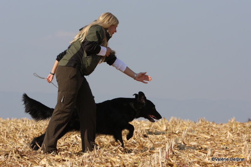 Field Erstein 09 (150).JPG